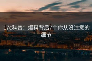 17c科普：爆料背后7个你从没注意的细节