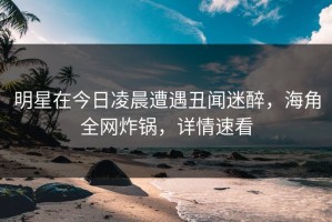 明星在今日凌晨遭遇丑闻迷醉，海角全网炸锅，详情速看