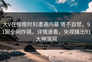 大V在傍晚时刻遭遇内幕 情不自禁，91网全网炸锅，详情速看，央视播出91大神落网