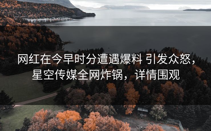 网红在今早时分遭遇爆料 引发众怒,星空传媒全网炸锅,详情围观 网红在今早时分遭遇爆料 引发众怒,星空传媒全网炸锅,详情围观