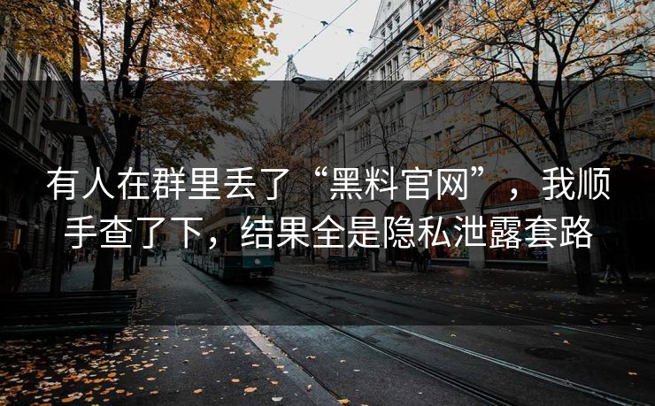 有人在群里丢了“黑料官网”,我顺手查了下,结果全是隐私泄露套路 有人在群里丢了“黑料官网”,我顺手查了下,结果全是隐私泄露套路