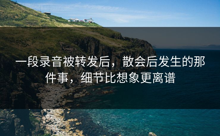 一段录音被转发后,散会后发生的那件事,细节比想象更离谱 一段录音被转发后,散会后发生的那件事,细节比想象更离谱